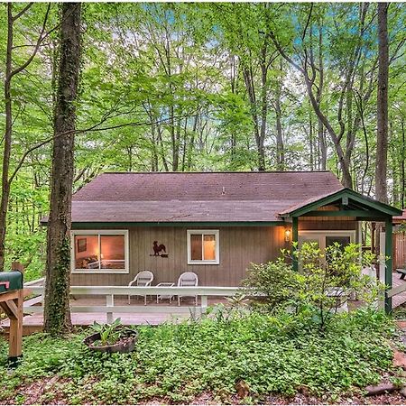 Smoky Mountain Treehouse Villa Маги Вали Екстериор снимка